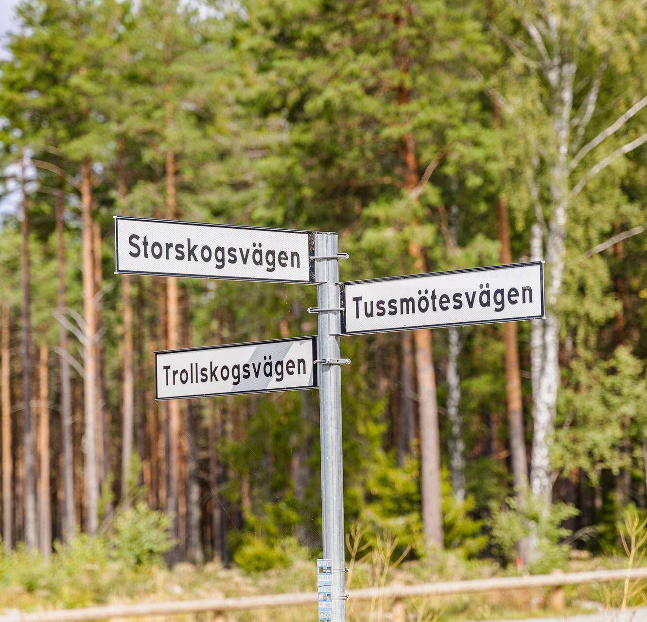 En bild för en kolumn om Bo nära naturen
