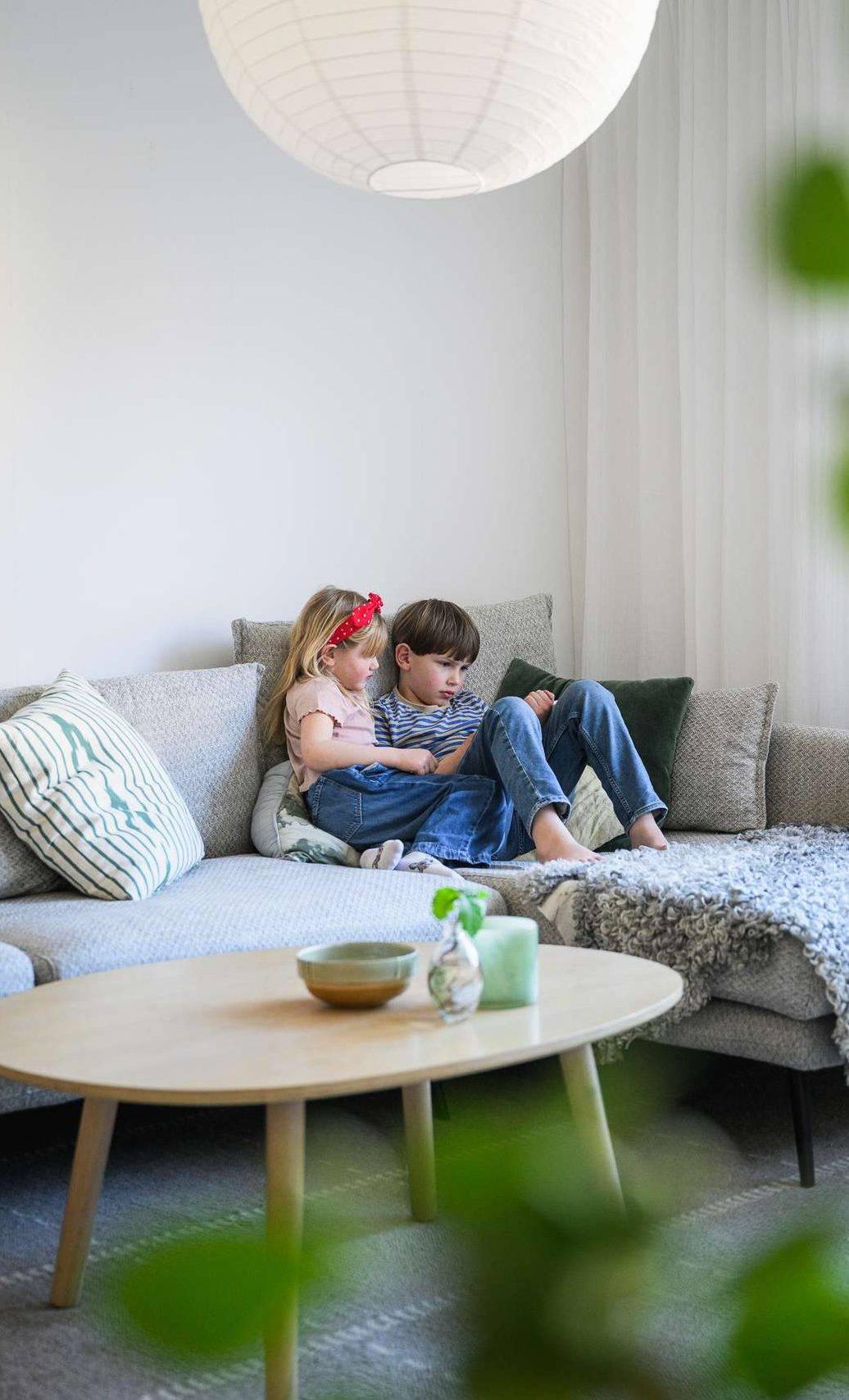 En bild för ett segment om Bostad